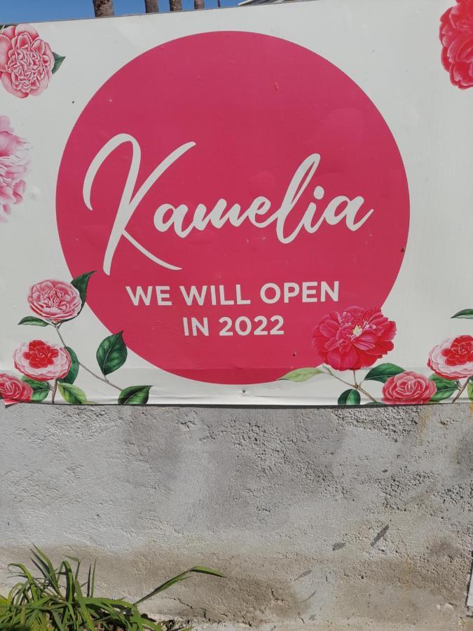 Aparthotel Kamelia 2022 Corfu Sant George Agios Georgios (Corfu)