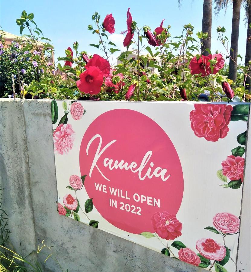 Kamelia 2022 Corfu Sant George Aparthotel