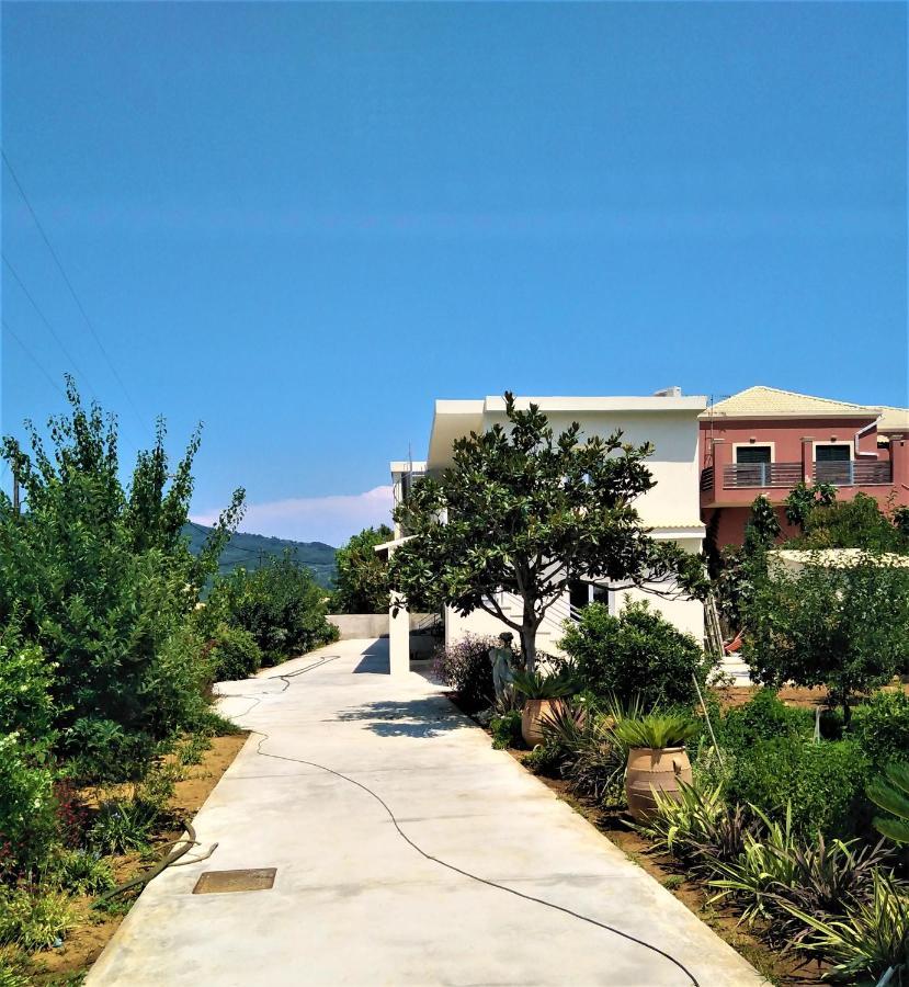 Kamelia 2022 Corfu Sant George * Agios Georgios (Corfu)